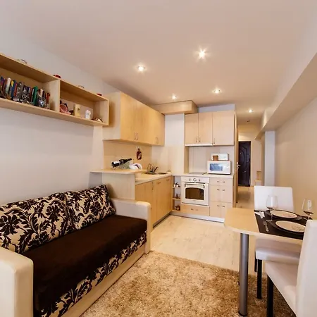 Studio With Class Klijanu Street דירה ריגה